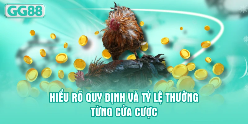 Hiểu rõ quy định và tỷ lệ thưởng từng cửa cược